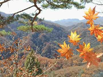 滁州旅游景点攻略
,安徽滁州旅游景点攻略